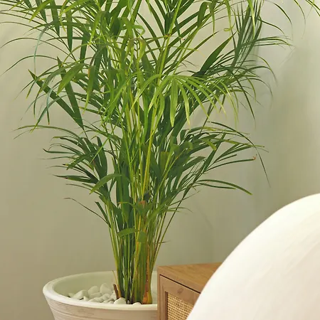 Times Elegant 4* Ermoupoli