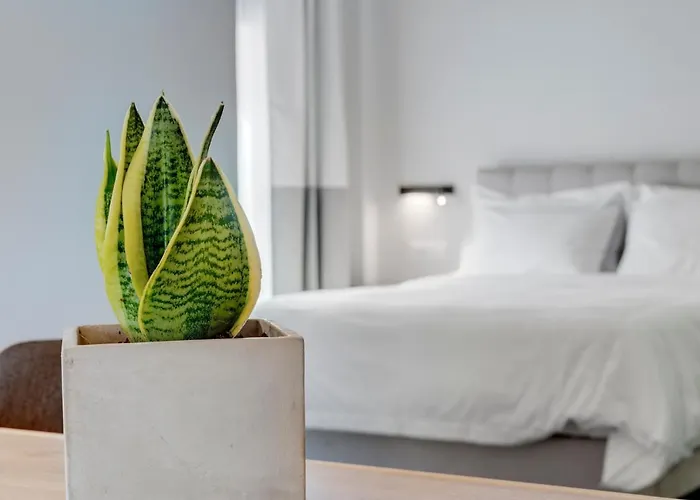 Times Elegant Гостевой дом 4*