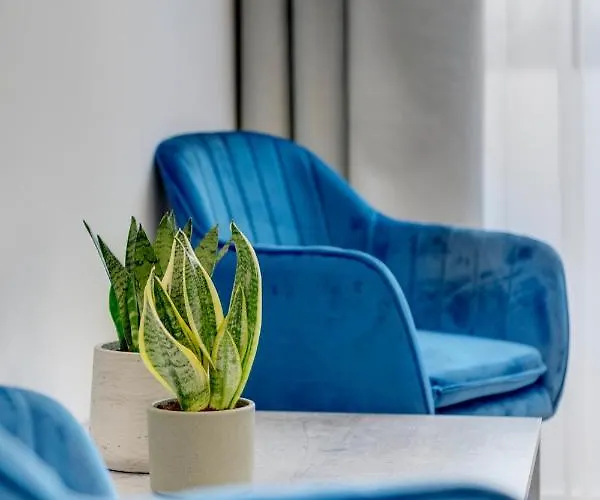 Times Elegant Эрмуполис