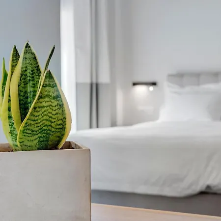 Times Elegant Konukevi 4*